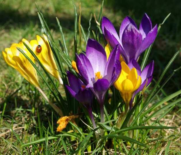 Nasi wschodni sąsiedzi poczują powiew wiosny; fot. http://2.bp.blogspot.com/ 