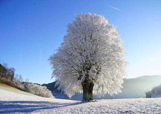 Jaka Bedzie Zima W Europie Wedle Pieciu Osrodkow Prognozowania Na Swiecie Przyroda Pogoda Klimat